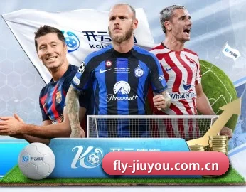 fly-jiuyou.com.cn的故事